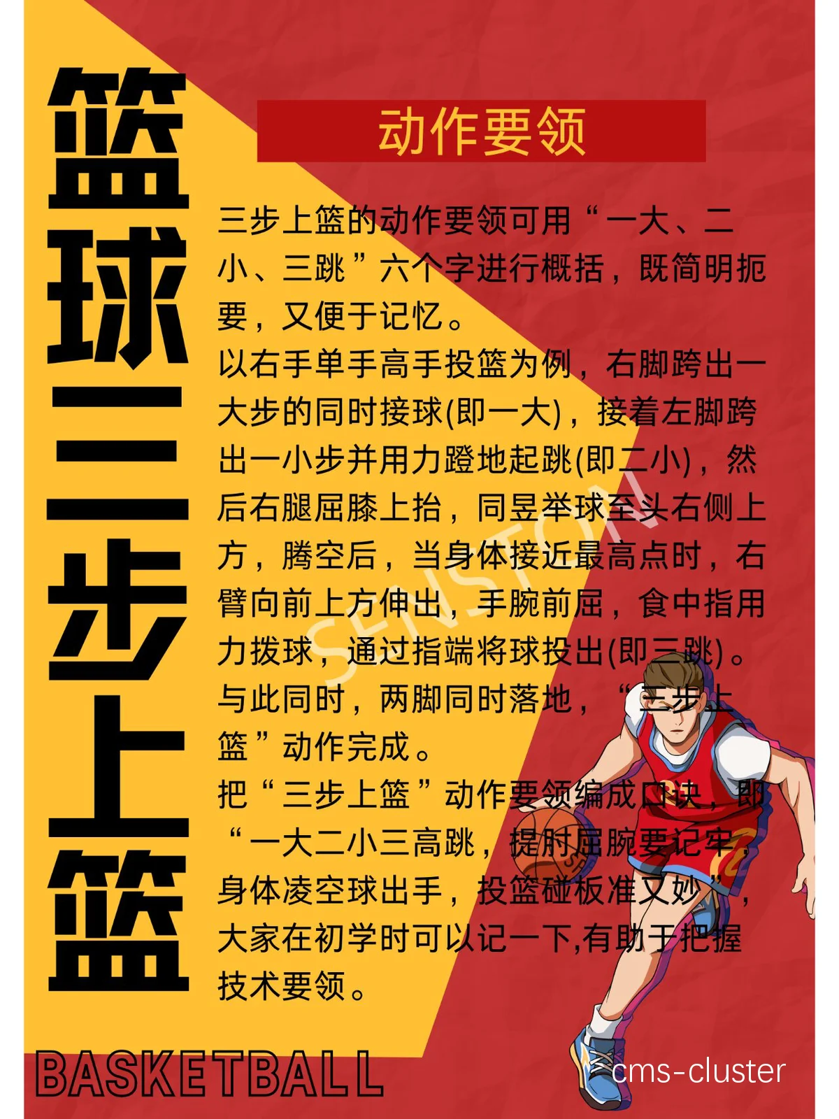 哪里能找到专业的篮球训练手段指导视频